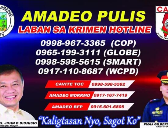 Amadeo Police Station