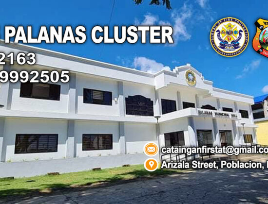 PALANAS MASBATE BFP