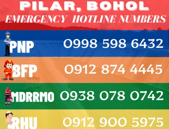 PILAR MDRRMO BOHOL